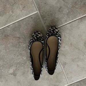 Women’s Talbots Flats